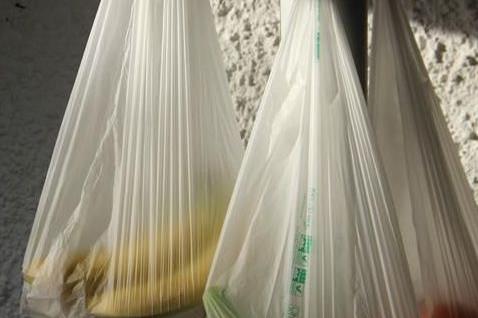 I sacchetti biodegradabili non vanno bene per l'umido» - Bolzano